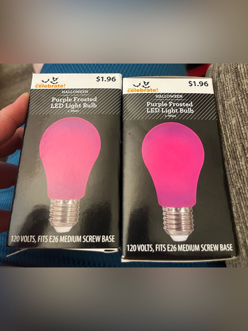 Celebrate! Purple Frosted LED Light Bulb – Decorative E26 Screw Base